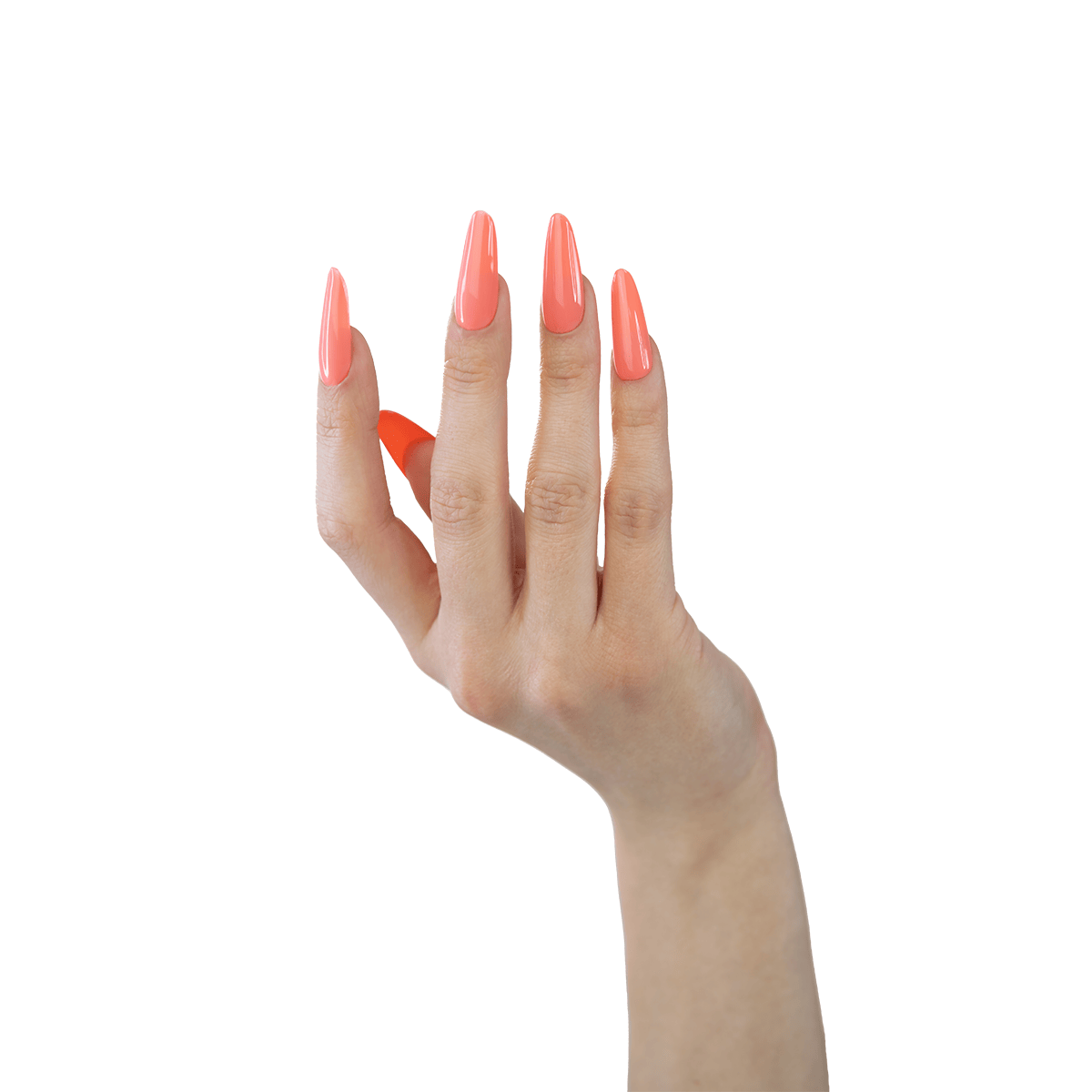 856ok.png _ 5907508485825